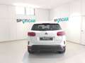 Citroen C5 Aircross BlueHDi S&S Plus EAT8 130 Wit - thumbnail 5