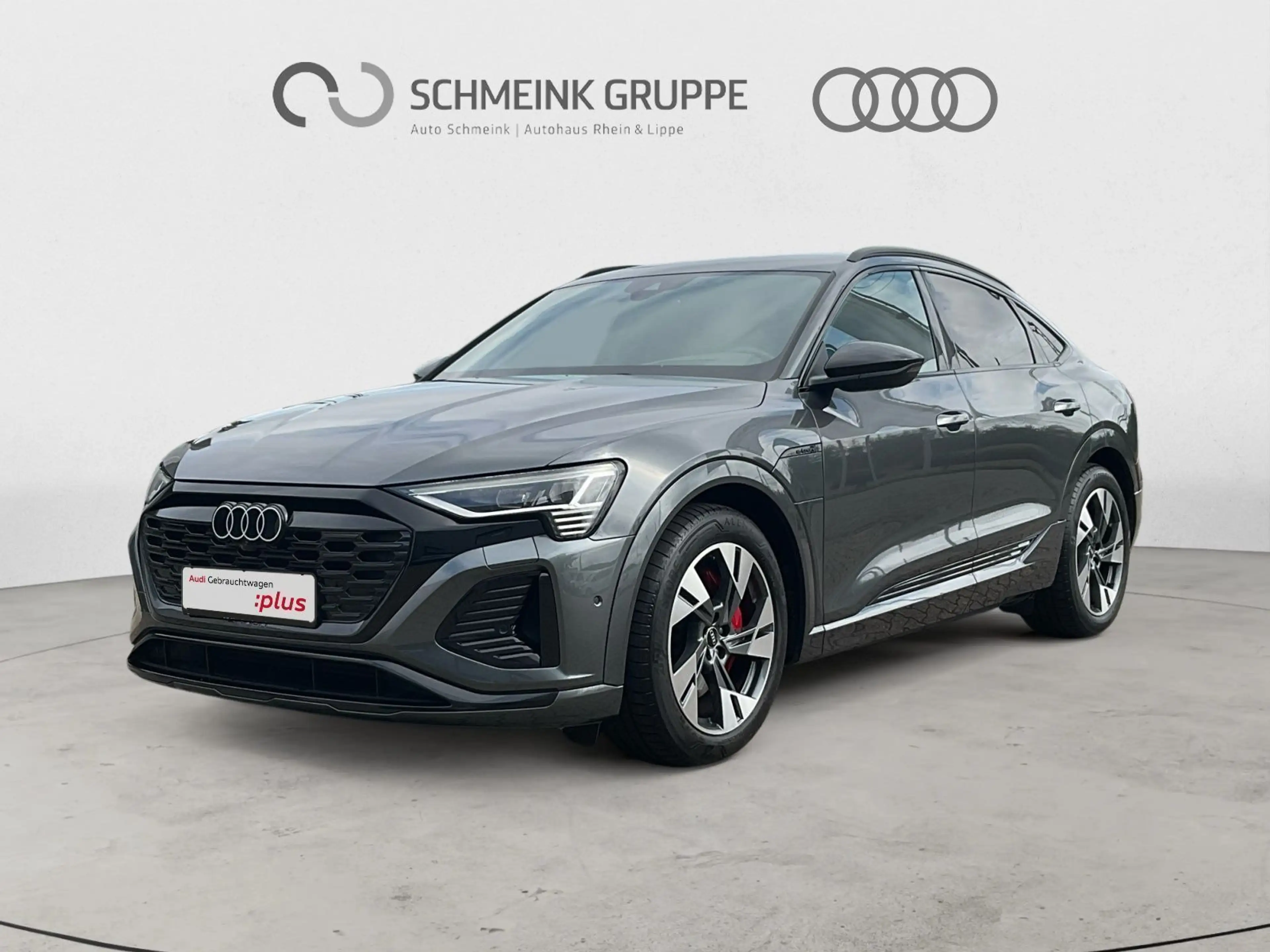 Audi Q8 e-tron 55 S line quattro Matrix AHK
