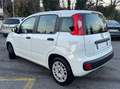 Fiat Panda Panda III 1.2 Lounge s *GARANZIA* Weiß - thumbnail 3