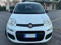 Fiat Panda Panda III 1.2 Lounge s *GARANZIA* Weiß - thumbnail 8
