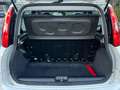 Fiat Panda Panda III 1.2 Lounge s *GARANZIA* Weiß - thumbnail 13