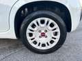 Fiat Panda Panda III 1.2 Lounge s *GARANZIA* Weiß - thumbnail 24