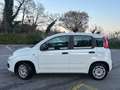 Fiat Panda Panda III 1.2 Lounge s *GARANZIA* Weiß - thumbnail 2