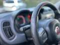 Fiat Panda Panda III 1.2 Lounge s *GARANZIA* Weiß - thumbnail 17