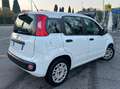 Fiat Panda Panda III 1.2 Lounge s *GARANZIA* Weiß - thumbnail 5
