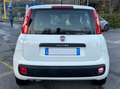 Fiat Panda Panda III 1.2 Lounge s *GARANZIA* Weiß - thumbnail 4