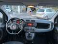 Fiat Panda Panda III 1.2 Lounge s *GARANZIA* Weiß - thumbnail 16