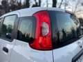 Fiat Panda Panda III 1.2 Lounge s *GARANZIA* Weiß - thumbnail 23