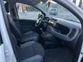 Fiat Panda Panda III 1.2 Lounge s *GARANZIA* Weiß - thumbnail 15
