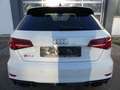 Audi RS3 Sportback RS Sitze/Pano/B&O/Carbon/Kam./280 Weiß - thumbnail 6