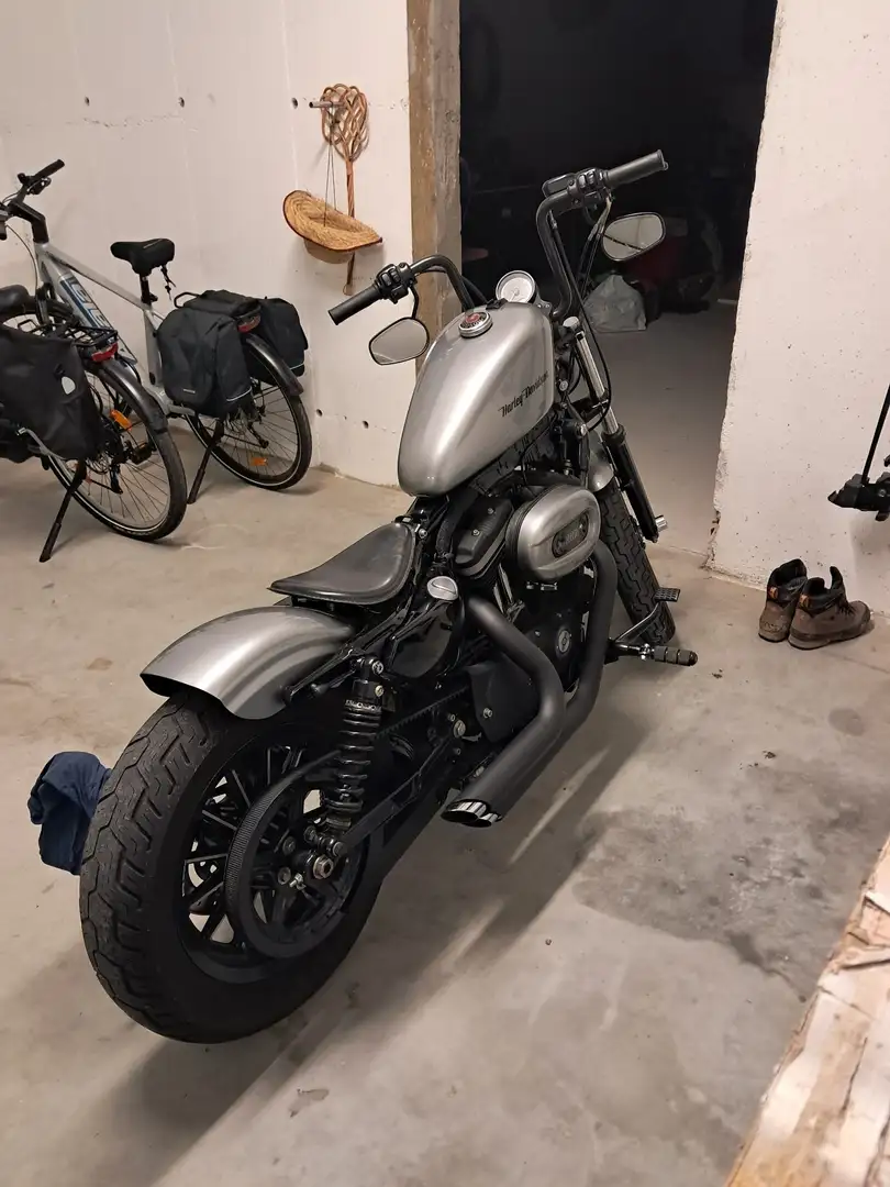 Harley-Davidson Iron 883 Gris - 1