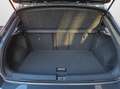 Volkswagen T-Roc 1.5 TSI DSG Sport Navi PDC ACC Lane Assist Grau - thumbnail 13