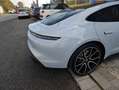 Porsche Taycan Taycan Bianco - thumbnail 6