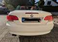 BMW 325 325i Cabrio Aut. Weiß - thumbnail 7