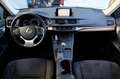 Lexus CT 200h *25th Edition* Camera/Navigatie/Luxe Bekleding |Or Marrón - thumbnail 19