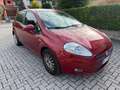 Fiat Grande Punto Grande Punto 5p 1.2 Neo patentati Rouge - thumbnail 2