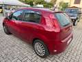 Fiat Grande Punto Grande Punto 5p 1.2 Neo patentati Rouge - thumbnail 5