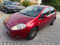 Fiat Grande Punto Grande Punto 5p 1.2 Neo patentati Rouge - thumbnail 3
