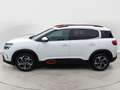Citroen C5 Aircross BlueHDi 130 S&S EAT8 Shine Bianco - thumbnail 6