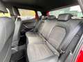 SEAT Ibiza Black Edition  1.0l TSI *Full Link/Navi/ Rot - thumbnail 15
