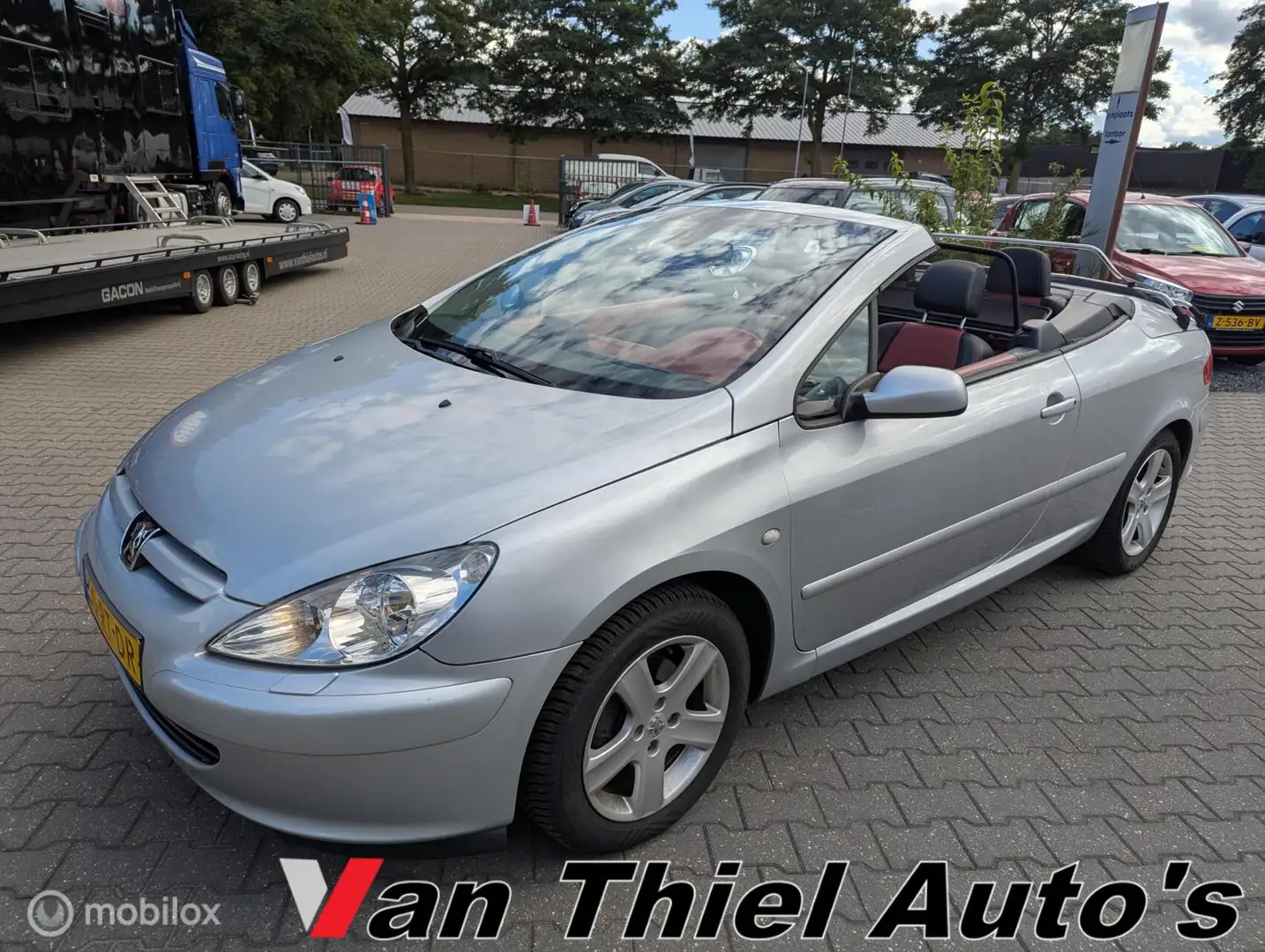Peugeot 307 CC 2.0-16V premiere Edition 109 van de 307 Grau - 1