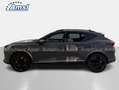 CUPRA Formentor 2.0 TSI DSG VZ 4Drive AHK Grau - thumbnail 7