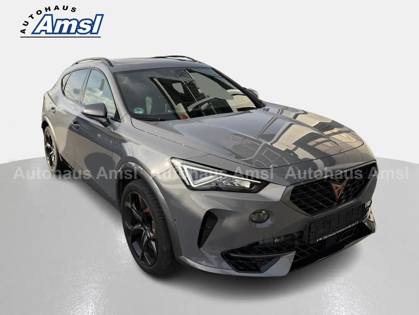 CUPRA Formentor 2.0 TSI DSG VZ 4Drive AHK Grau - 2