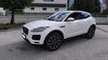 Jaguar E-Pace E-Pace - TOP SONDERAUSSTATTUNG - 2.0DI4 D150 S AWD Aut. S Weiß - thumbnail 10