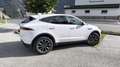 Jaguar E-Pace E-Pace - TOP SONDERAUSSTATTUNG - 2.0DI4 D150 S AWD Aut. S Weiß - thumbnail 7