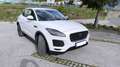 Jaguar E-Pace E-Pace - TOP SONDERAUSSTATTUNG - 2.0DI4 D150 S AWD Aut. S Weiß - thumbnail 9
