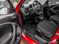 smart forFour 66 kW turbo Faldach Navi Black Edition Noir - thumbnail 9