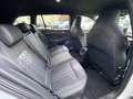 Volkswagen Golf VIII Variant 2.0 TDI DSG *R-Line*LED*NAVI* Weiß - thumbnail 7