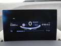 BMW i3 Executive Edition 120Ah 42 kWh | Panoramadak | Cru Noir - thumbnail 12