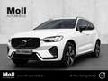 Volvo XC60 Plus Dark Recharge Plug-In Hybrid AWD T8 Twin Engi Weiß - thumbnail 1