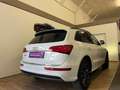 Audi Q5 2.0 TDI quattro SLine Weiß - thumbnail 5