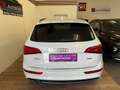 Audi Q5 2.0 TDI quattro SLine Weiß - thumbnail 15