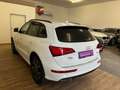 Audi Q5 2.0 TDI quattro SLine Weiß - thumbnail 12
