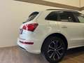 Audi Q5 2.0 TDI quattro SLine Weiß - thumbnail 20