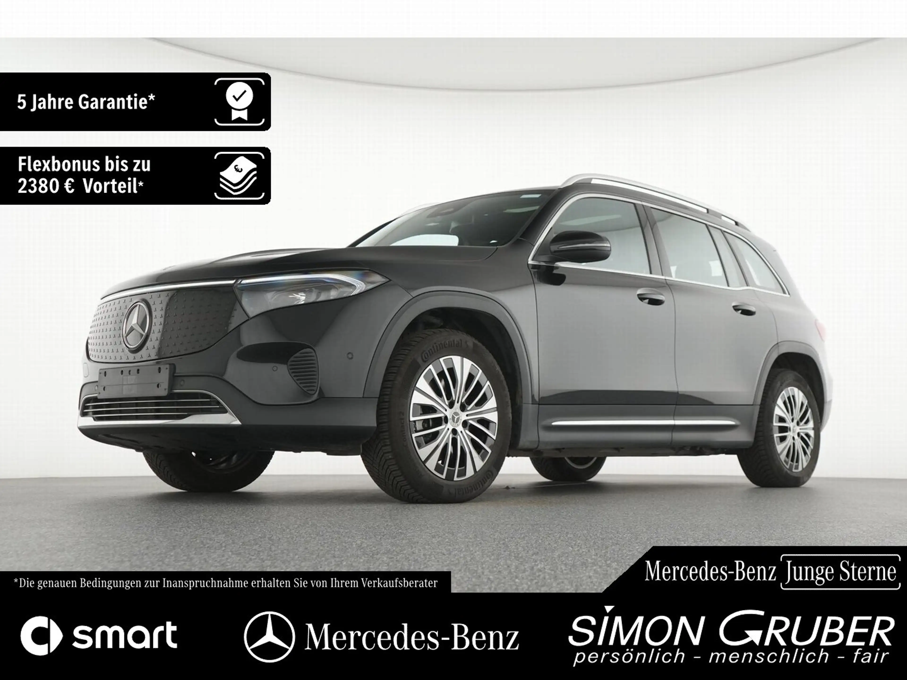Mercedes-Benz EQB 250 + Progressive Adv Pano Ambi Kamera 7Sitze — photo 13