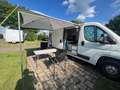Citroen Jumper L1H1 Camper Van, Selbstausbau, Wohnmobil Bianco - thumbnail 13