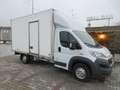 Fiat Ducato 2.3 131CV FURGONE CON PORTE POST A BATTUTA Weiß - thumbnail 3
