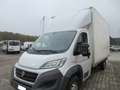 Fiat Ducato 2.3 131CV FURGONE CON PORTE POST A BATTUTA Weiß - thumbnail 1