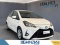 Toyota Yaris Yaris 1.5 Hybrid 5 porte Business Wit - thumbnail 2