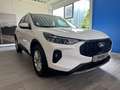 Ford Kuga Hybrid Titanium *360°-SHZ-ACC* Blanc - thumbnail 4