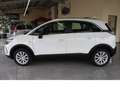 Opel Crossland Elegance,Top-Ausstattung,Top-Zustand Weiß - thumbnail 18