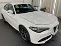 Alfa Romeo Giulia 2.2 JTDM Veloce Q4/BiXe/ACC/SHZ/Bluet. Blanc - thumbnail 3