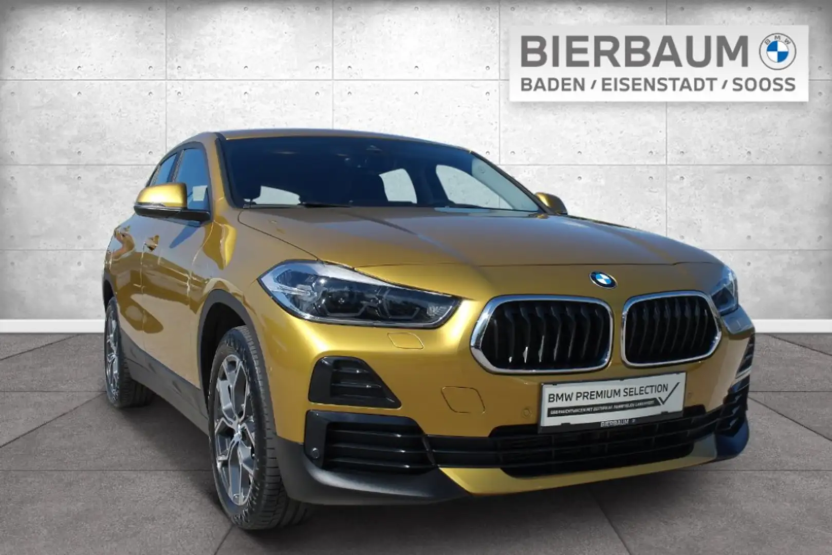 BMW X2 X2 xDrive18d Gold - 1