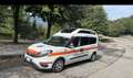 Fiat E-Doblo veicolo con accesso per sedie  rotelle-autolift - thumbnail 8