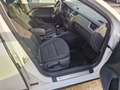 Skoda Octavia Scout 4x4 Weiß - thumbnail 8