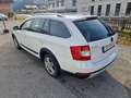 Skoda Octavia Scout 4x4 Weiß - thumbnail 6